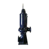 LS201.043.0055 Dry Vertical Spiral Centrifugal Pump